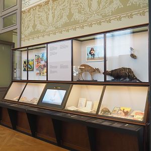 Display about stories involving animals, 2021-10-20