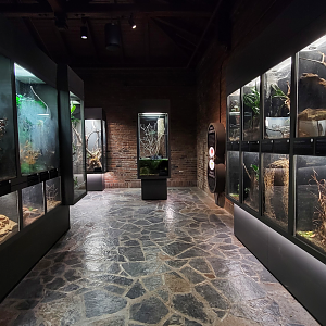 Oct. 2021 - Museum of Science - Arthropods - Right Side