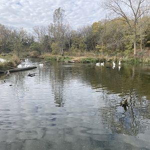 Pelican Wetlands