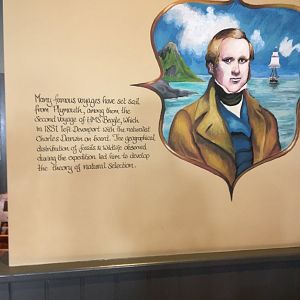 Decor about Darwin, Plymouth, October 2021