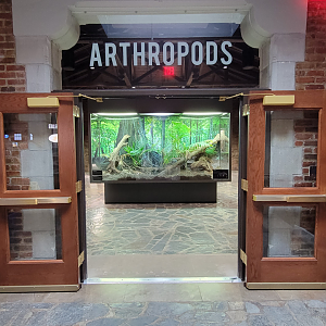 Oct. 2021 - Museum of Science - Arthropods Entrance