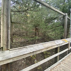 Short-Eared Owl Aviary