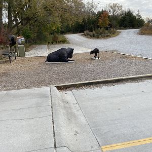 Bison Plains - Statues