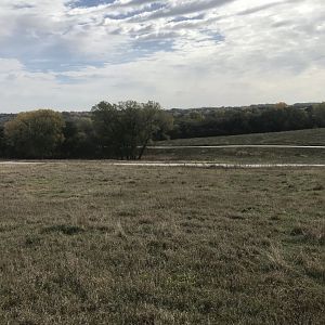 Bison Plains
