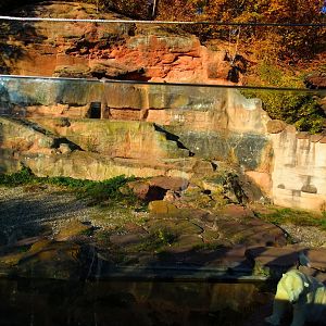 Left Polar Bear Enclosure