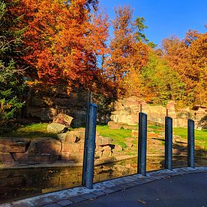 Second Polar Bear Enclosure