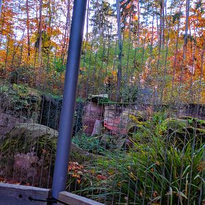 Bearded Vulture Aviary