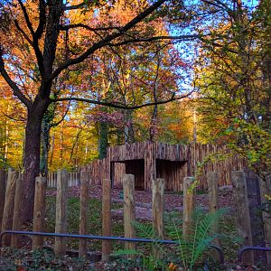 Malayan Tapir Enclosure