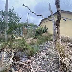 Swift parrot and Long-nosed potoroo enclosure 120821