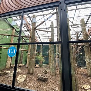 Lemur indoors 120821