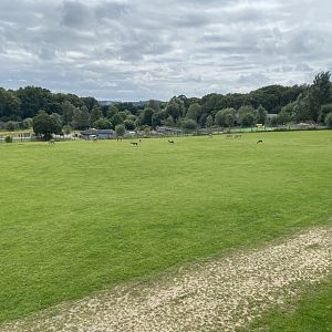 African Savannah exhibit 120821