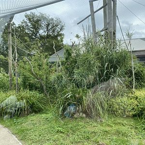 Lemur walkthrough 120821