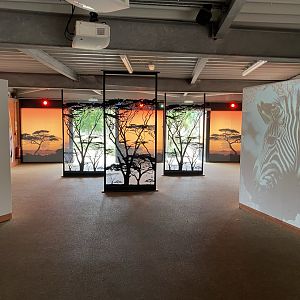 Wild Explorers indoors 120821