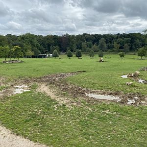 Wild Explorers 120821