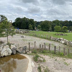 Wild Explorers 120821