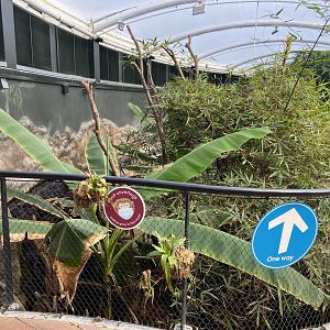 Tropical House 120821