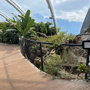 Tropical House 120821