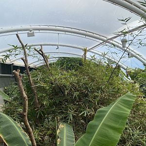 Tropical House 120821