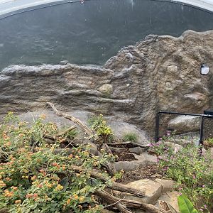 Tropical House 120821