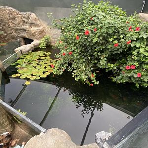 Tropical House 120821