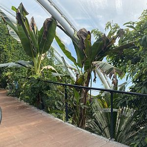 Tropical House 120821