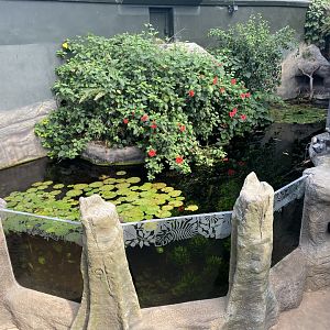 Tropical House 120821