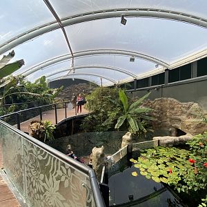 Tropical House 120821