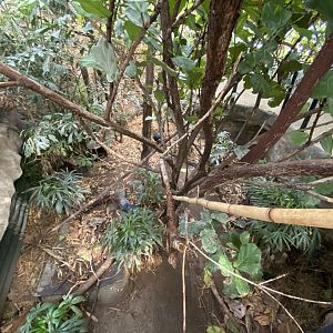 Tropical House 120821