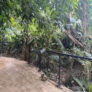 Tropical House 120821