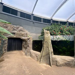 Tropical House 120821