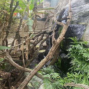 Tropical House 120821