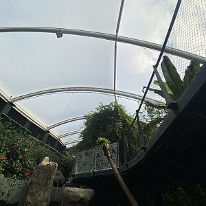 Tropical House 120821