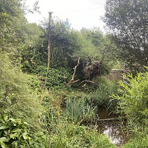 Walkthrough aviary 120821