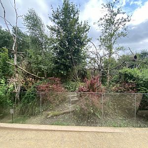 Red panda exhibit 120821