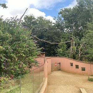 Red panda exhibit 120821
