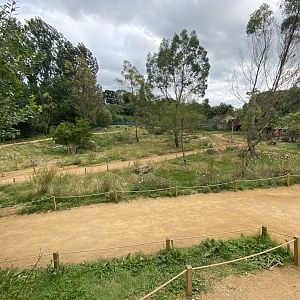 Wallaby walkthrough 120821