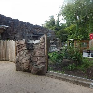 Giant otter exhibit 110921