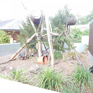 North American porcupine and Striped skunk exhibit 110921