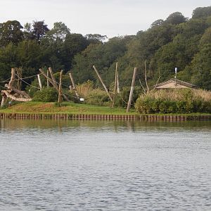 Island for Mantled Guereza 110921