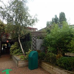 Yellow-breasted capuchin exhibit 140921