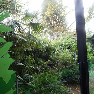 Rainforest Walkthrough 140921