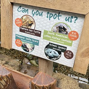 Rainforest Walkthrough -reptile area inhabitants140921