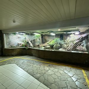 Worlds Apart - Green anaconda exhibit 140921
