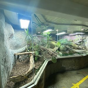 Worlds Apart - Green anaconda exhibit 140921