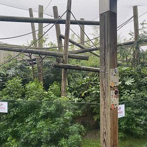 Worlds Apart - Red titi and Southern tamandua area 140921