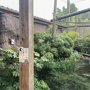 Worlds Apart - Common marmoset area 140921