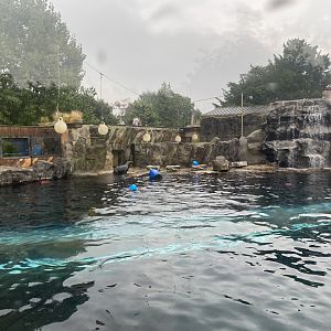 Playa Patagonia 140921