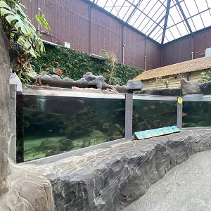 Exhibit in Rajang's Forest 140921