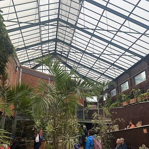 Rajang's Forest 140921