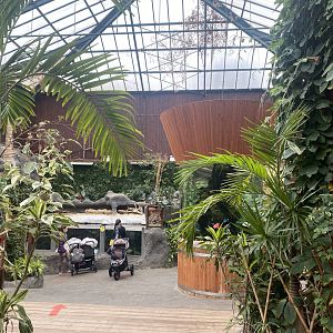 Rajang's Forest 140921